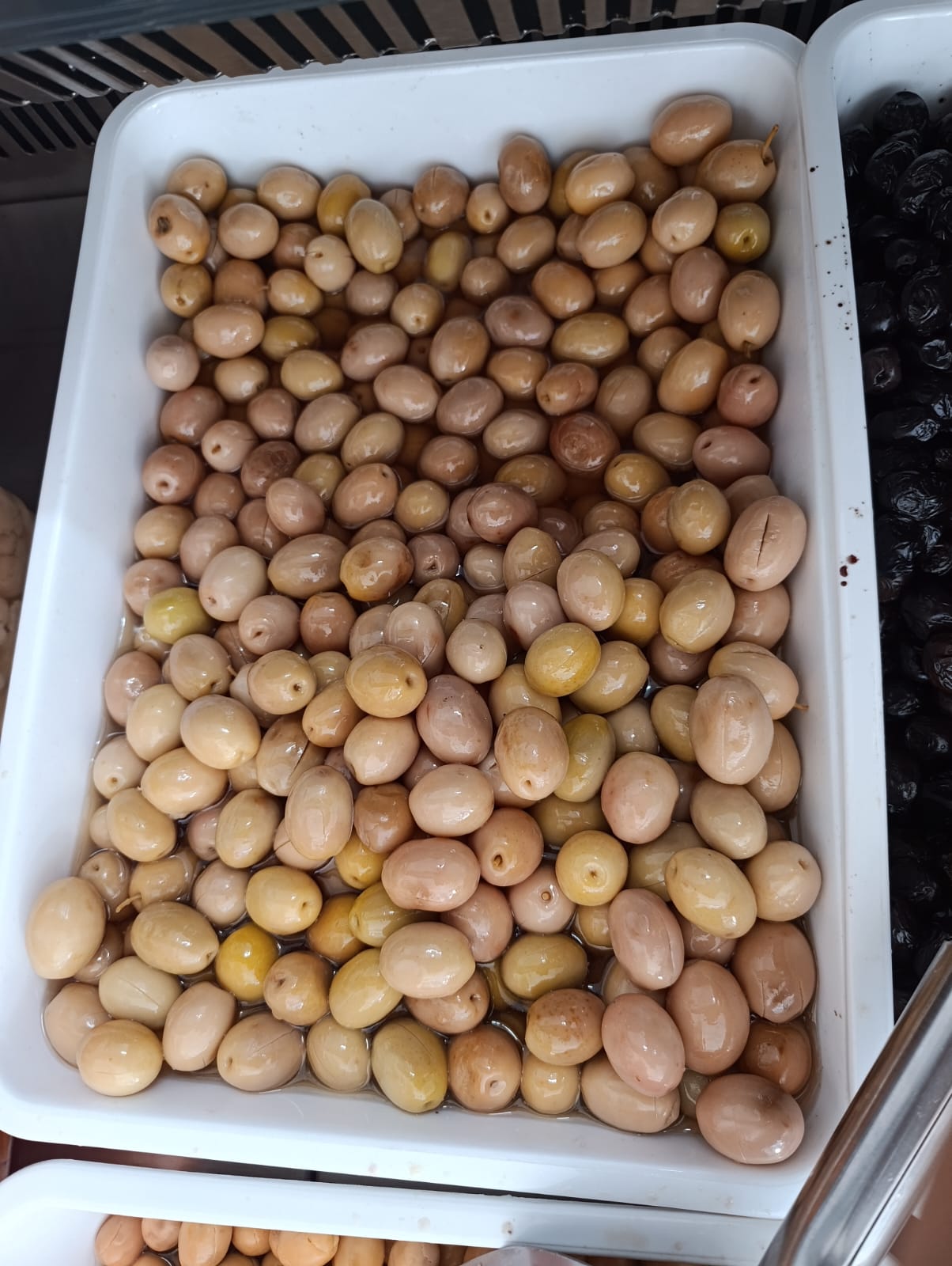 Zeytin Çeşitleri