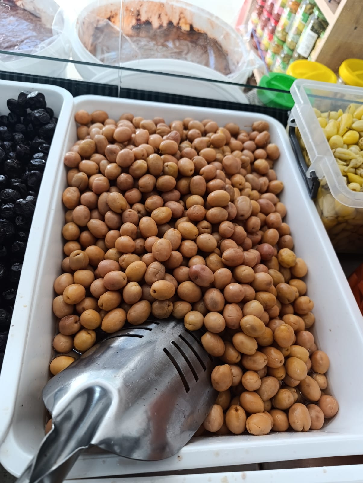 Yoncam zeytin