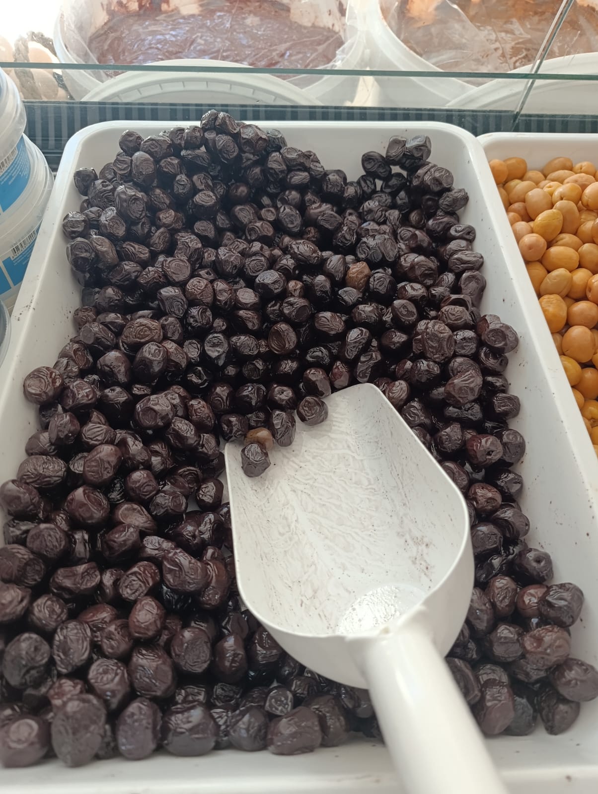 Yoncam zeytin çeşitleri